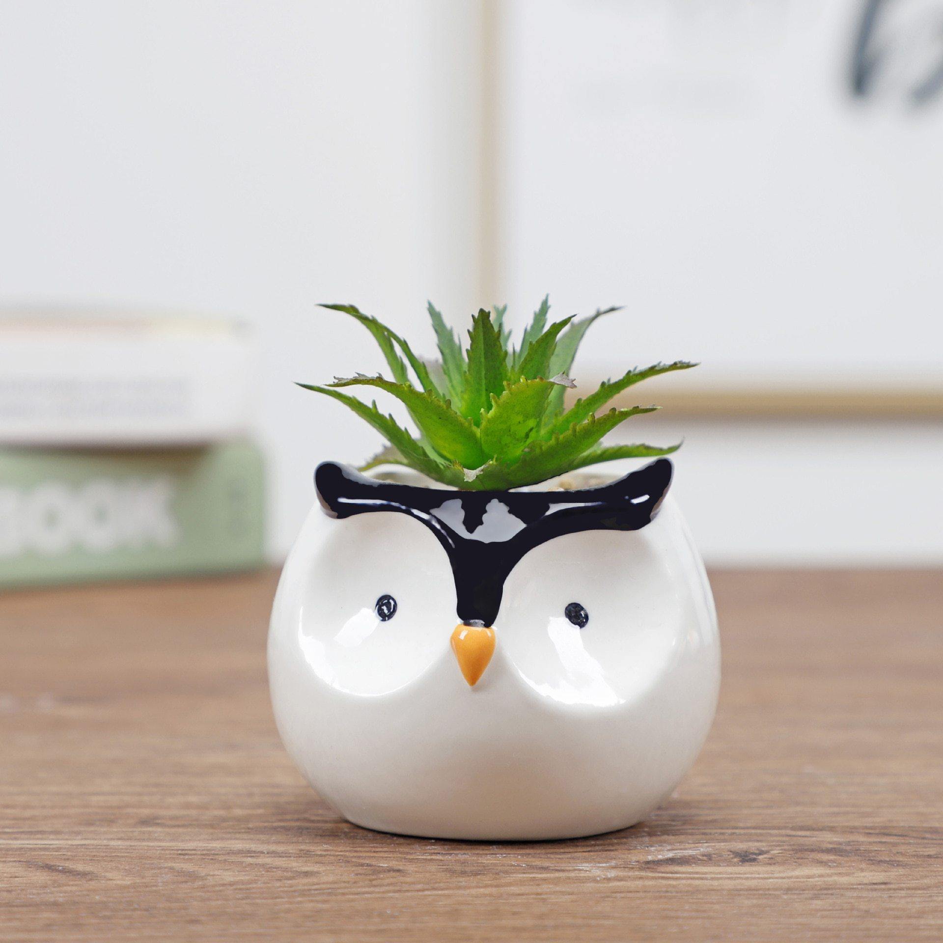 Cute Animal Succulent Pot