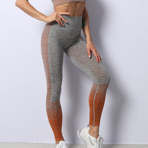 Seamless Sports Bra & Leggings