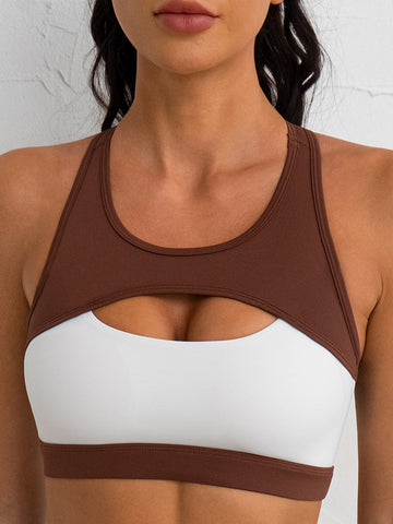 Colorblock Shock Proof Sports Bra